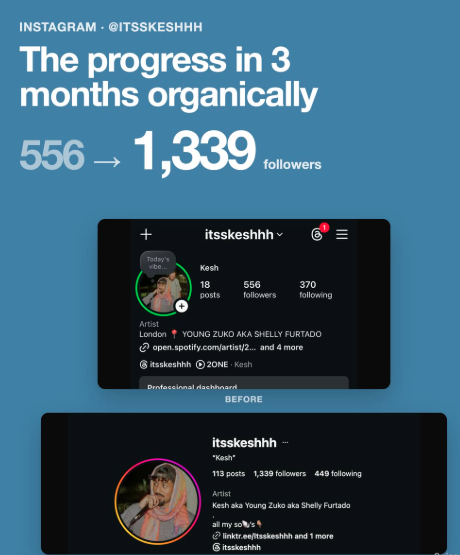 itsskeshhh Instagram growth from 556 to 1,339 followers
