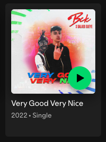 Very Good Very Nice single artwork, 2022